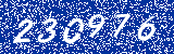 Capcha image